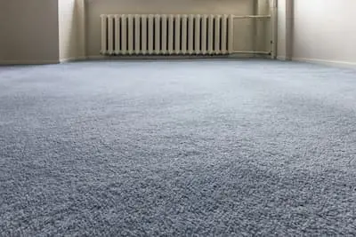 carpet-and-upholster-cleaner